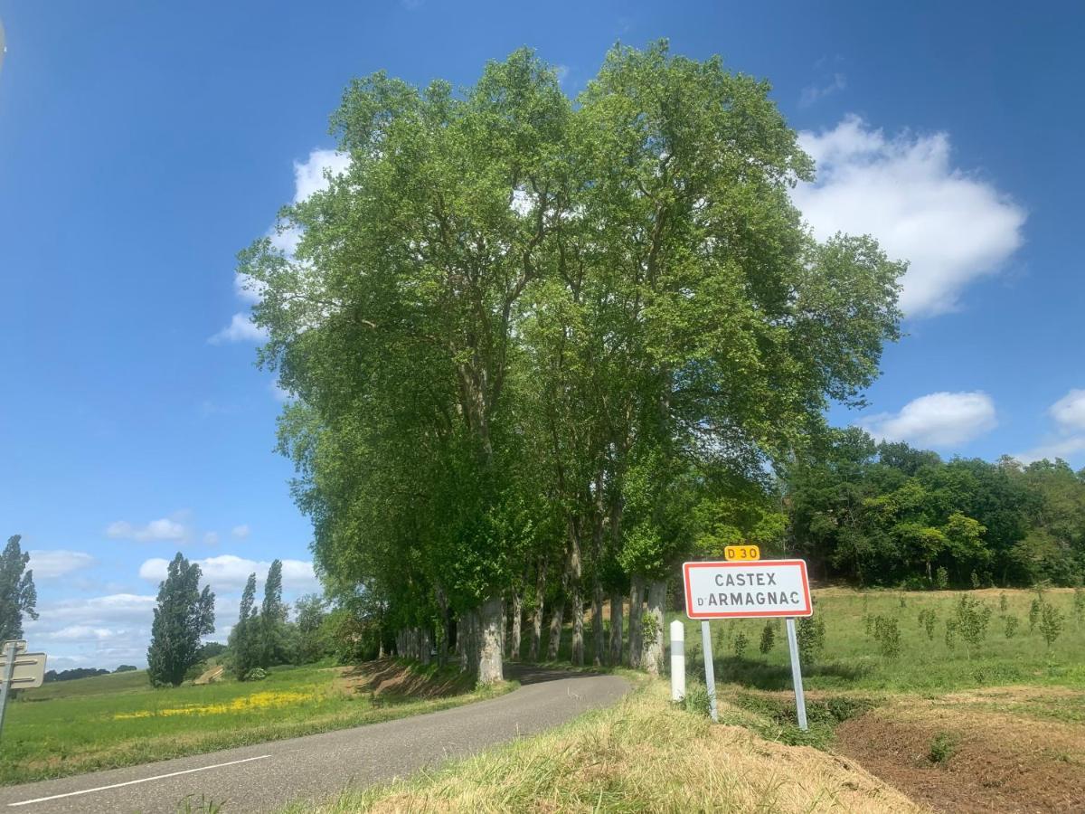 Ferme Equestre Avec Piscine * Castex (Gers)